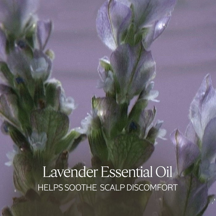 L'Occitane En Provence Shampooing Doux et Équilibrant AROMACOLOGY - Purifiant et hydratant, 75 ml L'Occitane En Provence Shampooing Doux et Équilibrant AROMACOLOGY - Purifiant et hydratant, 75 ml