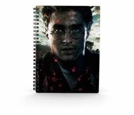 Sd toys Carnet effet 3D Harry Potter