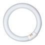 Patron Tubo fluorescente circular 32W, G10q, 6500K lumière froide Ø300 mm