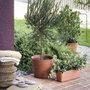 Deroma Pot de fleurs Origin, 9,6 L, Terre cuite