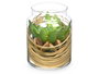 Ibergarden Pot en Verre avec Fleurs Séchées Vert 12 x 16 x 12 cm (Set de 12)