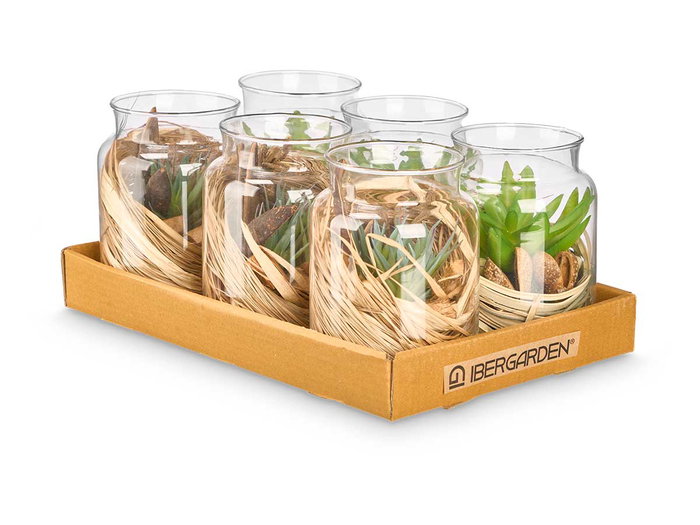 Ibergarden Pot en Verre avec Fleurs Séchées Vert 12 x 16 x 12 cm (Set de 12)
