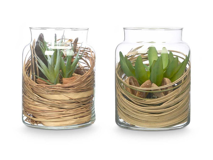 Ibergarden Pot en Verre avec Fleurs Séchées Vert 12 x 16 x 12 cm (Set de 12)