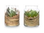Ibergarden Pot en Verre avec Fleurs Séchées Vert 12 x 16 x 12 cm (Set de 12)