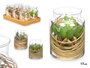 Ibergarden Pot en Verre avec Fleurs Séchées Vert 12 x 16 x 12 cm (Set de 12)