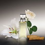 Calvin Klein ETERNITY Eau de Parfum Vaporisateur 50 ml