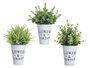 Ibergarden Plante Fleur Verte Vieillie Pot Métal 23 cm Assortis (Set de 12)