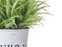 Ibergarden Plante Fleur Verte Vieillie Pot Métal 23 cm Assortis (Set de 12)