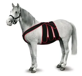 kruuse Kit de chirurgie post-colique pour poulain, Taille L