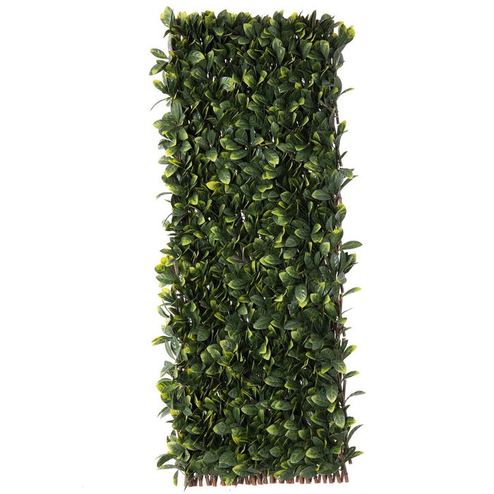 BigBuy Garden Treillis Natural Laurel osier Bambou 2 x 200 x 100 cm