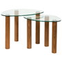Home Deco Factory Ensemble de 2 tables gigognes irrégulières en verre et bois
