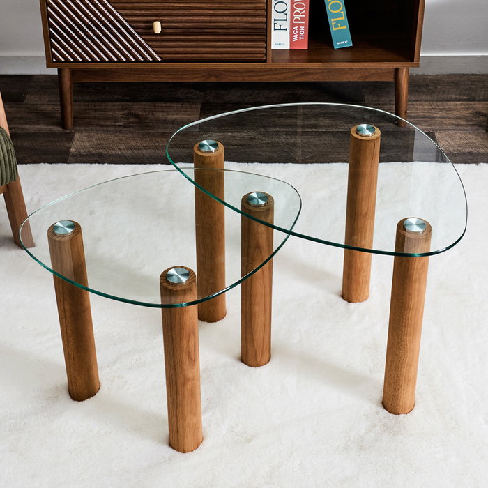 Home Deco Factory Ensemble de 2 tables gigognes irrégulières en verre et bois