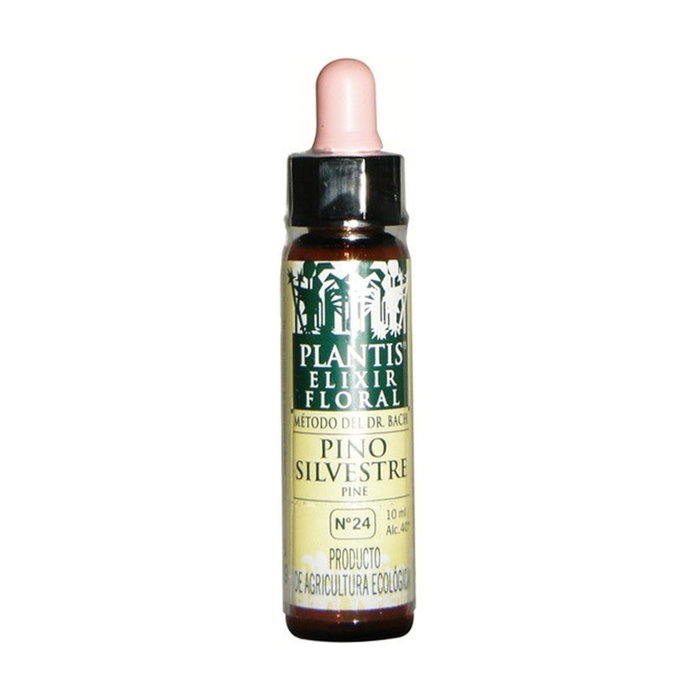 PLANTIS Pine Silvestre Nº 24 10 ml