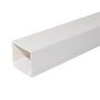GSC Evolution Canalette électrique blanche à vis 2M 100x60mm