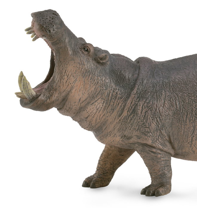 COLLECTA Hippopotame XL