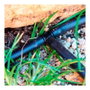 Blue Bird-Altadex Coudes ø4 mm, 25 uds