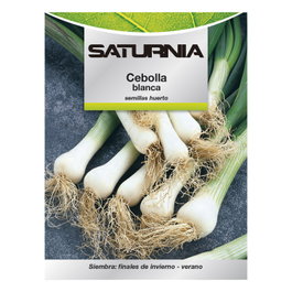 SATURNIA Semences d'Oignon Blanc (4 g)