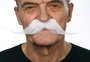 My Other Me Bigote One Size - Jeu de Société Multilingue (Espagnol, Anglais, Français, Italien, Portugais, Allemand) - Adulte - Multicolor