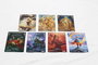 Magic the Gathering Dice and Token Pack Tarkir Dragonstorm *Anglais*
