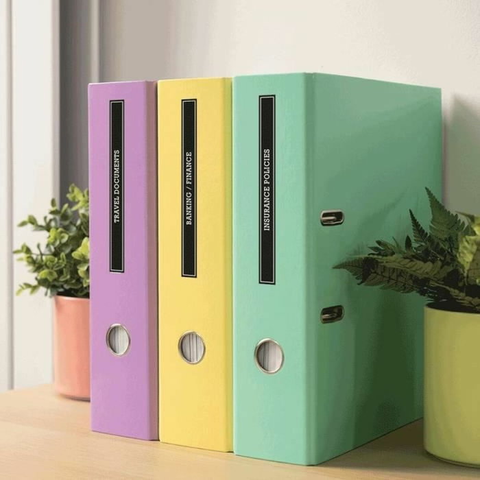 Brother PT-N20 Étiqueteuse thermique avec clavier QWERTY et écran LCD