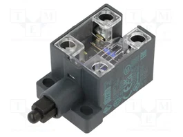 PIZZATO ELETTRICA Interrupteur terminal pivot en plastique NO x2 10A IP20