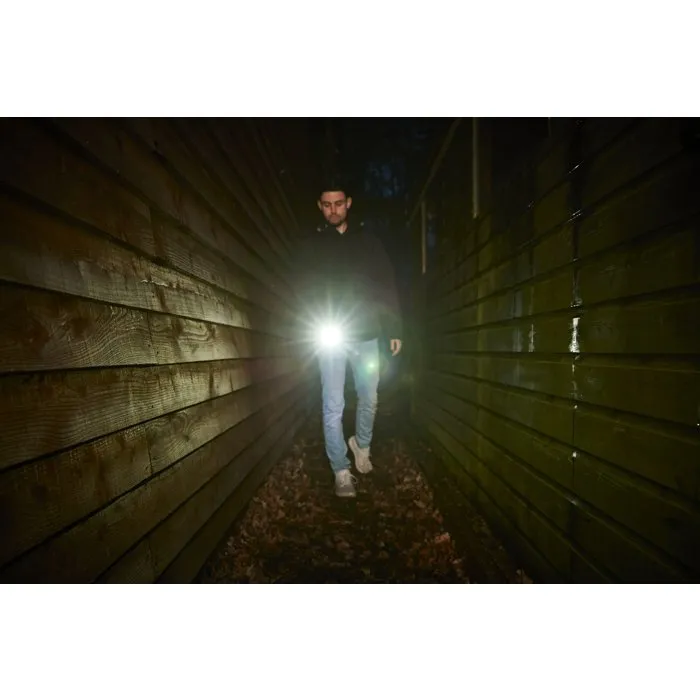 Ryobi Lampe torche 4V USB Lithium RLP4-120G avec batterie 2Ah et chargeur