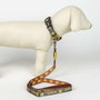 Cerdá Correa premium pour chien taille M, collection Harry Potter Maison Gryffindor T3M:M - Rouge foncé