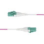 Startech Câble USB OM4RLCLC40M Violet 40 m