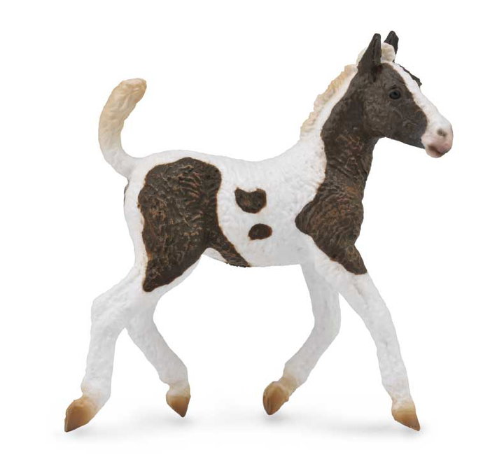 Collecta Figurine Potro Pelo Rizado Modèle 88781 Échelle M Cheval Détaillé Peint à la Main - 3 ans et plus Collecta Figurine Potro Pelo Rizado Modèle 88781 Échelle M Cheval Détaillé Peint à la Main - 3 ans et plus