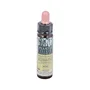 PLANTIS Scleranthus Nº 28 Elixir Floral Eco 10 ml