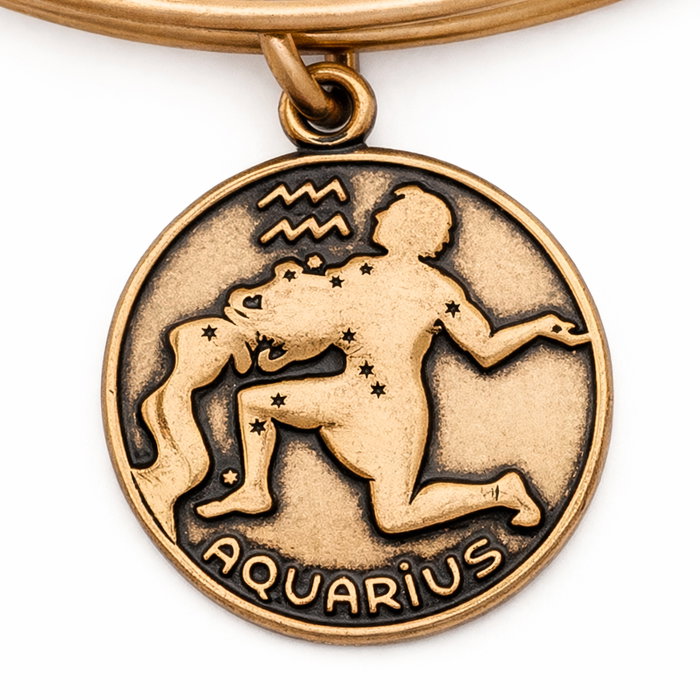 Alex And Ani Bracelet Acuario II Doré