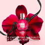 Parfum Femme Viktor & Rolf Flowerbomb Ruby Orchid 30 ml