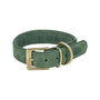 Collier pour Chien Trixie Pure Vert XS 25-31 cm