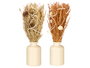 Giftdecor Vase haut petit 10 x 25 x 10 cm - Couleurs nature et ocre - Assortiment (Set de 18)