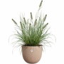 ELHO Pot de fleurs Sereh Rond 40 Marron