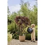 ELHO Sereh Rond 40 - Pot de fleurs rond marron, 39 cm x 33 cm - Fabriqué en plastique 100% recyclé, résistant au gel pour jardin et intérieur