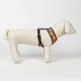 Cerdá Arnes T1XXS Harnais premium pour chien XXS/XS Harry Potter Gryffindor, rouge foncé
