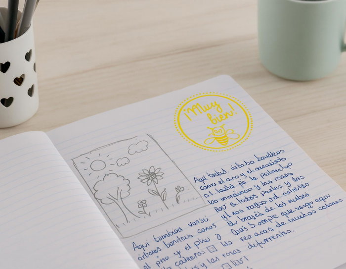 Innspiro Kit 4 Tampons Bois et 1 Encre Orange 'Correcciones Reconocimiento Positivo'