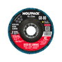 WOLFPACK LINEA PROFESIONAL Disco Lamina Lija Circon Plus 115x22 mm grain 80