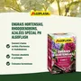 Algoflash Naturasol Engrais pour Hortensias, Rhododendrons et Azalées - Spécial pH - 1 kg - Poudre pour Plantes de Terre de Bruyère - Agriculture Biologique