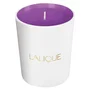 Lalique Electric Purple - Bougie parfumée Boisé Fruité