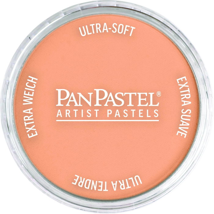 Panpastel 740.7 Terre de Sienne brûlée claire Panpastel 740.7 Terre de Sienne brûlée claire