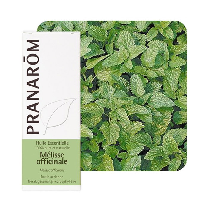 Pranarom Huile essentielle de Mélisa 5 ml