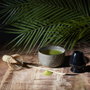 Home Deco Factory Set de préparation de thé matcha JGO