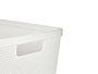 KIPIT Cesta multiuso rectangulaire médiane, lot de 18 unités, Beige, Blanc et Gris
