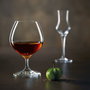 Chef & Sommelier Set de 6 Verres à Cognac Krysta Spirits 72 cl
