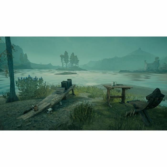 Warner Games - Hogwarts Legacy : L'héritage de Poudlard - Jeu d'aventure RPG en monde ouvert - Nintendo Switch