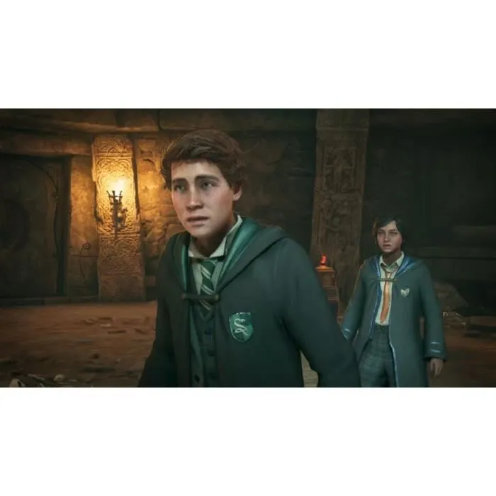 Warner Games - Hogwarts Legacy : L'héritage de Poudlard - Jeu d'aventure RPG en monde ouvert - Nintendo Switch