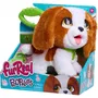 Furreal Friends Cavalier King Charles Peluche interactive et éducative, roule et interagit, fourrure douce, jouet dès 4 ans