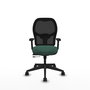 PIQUERAS Y CRESPO Chaise Alocén Synchrone Vert foncé et Noir